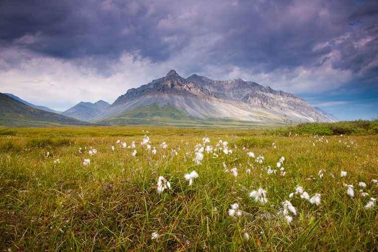Anaktuvuk Pass
