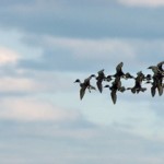 Cape Krusenstern National Monument