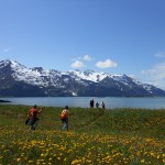 Alaska Chilkat State Park