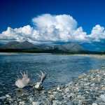 Alaska Noatak National Preserve