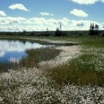 Alaska Selawik National Wildlife Refuge