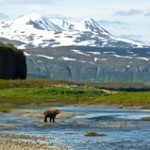Alaska Stan Price State Wildlife Sanctuary