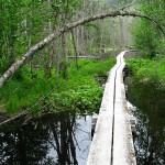Chilkoot Trail