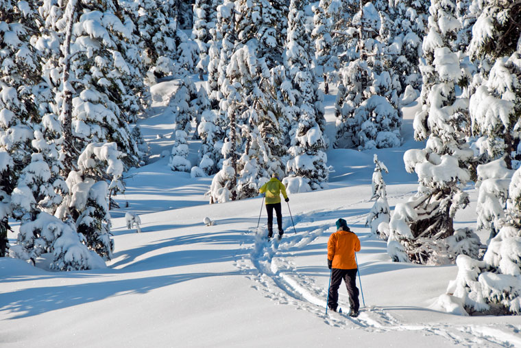 Alaska cross country hiking