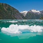 Iceburg
