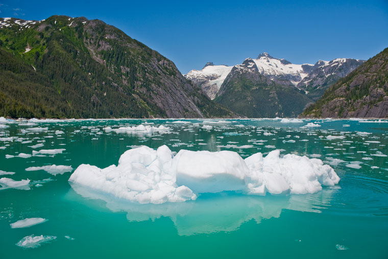 Iceburg
