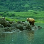 Alaska Peninsula National Wildlife Refuge