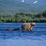 Alaska Kodiak National Wildlife Refuge