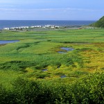 Alaska Ninilchik State Recreation Area