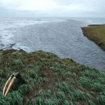 Alaska Yukon Delta National Wildlife Refuge